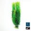 Brand New 4Pack Needle Leaf Aquarium Plant Decor UnderWater Grass*Hot SALE Carousel 9