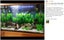 Brand New 4Pack Needle Leaf Aquarium Plant Decor UnderWater Grass*Hot SALE Carousel 6