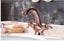 Taps Faucet Mixers Retro ,Basin Taps Mixers-Basin Faucet Carousel 4