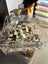 luxury large mealworm farm (farm only) Carousel 13