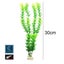 Brand New Needle Leaf Aquarium Plants Decor UnderWater Grass *Sale NOW* Carousel 4