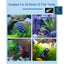 Brand New Fish Tank Floating Diver Figurines Aquarium Decor *Sale NOW* Carousel 16