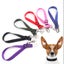 CHRISTMAS SALE Pet Safety Belt Pet seat belt (3 COLORS ) Special $2.99 Carousel 1