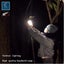 Brand New Camping Equipment Torch Lamp Lanterns LED Work Light*Hot SALE Carousel 7