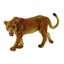Loading Image 1 of 1