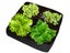 1 X 4 Grids Felt Grow Bag Garden Plant Seedling Bags Vegetable Planting Pouch Carousel 1