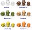 3D Silicone Ice Mold 6 Skull Shaped Carousel 5