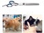 Pet Grooming Set NZ Clearance Carousel 5