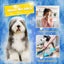 Pet Grooming Glove Deshedding Brush for Cats and Dogs - NEW Carousel 8