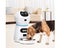 Automatic Cat Feeder NZ Clearance Carousel 11