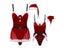 Costume Costumes Carousel 6