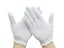 Cotton Gloves (Auckland Stock) Carousel 8