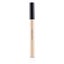 ADDICTION Perfect Mobile Touch Up - # 006 (Rose Beige) 2ml/0.06oz Carousel 3