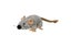 Loading Image 1 of 1