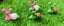 Loading Image 1 of 2