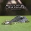 Art Decoration 2 In 1 Floating Crocodile Head RC Boat For Pond,Garden,Pool Carousel 6