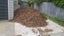 Forest Floor Mulch Carousel 6