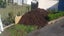 Forest Floor Mulch Carousel 7
