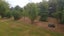 Forest Floor Mulch Carousel 12