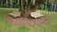 Forest Floor Mulch Carousel 13