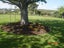 Forest Floor Mulch Carousel 14