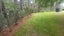 Forest Floor Mulch Carousel 16