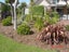 Forest Floor Mulch Carousel 17