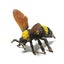 CollectA Bumble Bee Carousel 1