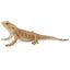 Loading Image 1 of 1