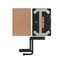 Loading Image 1 of 1