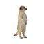 Loading Image 1 of 2