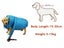 Dog Dryer NZ Clearance Carousel 6