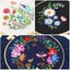 3 Sets Embroidery Kit,Cross Stitch Kits Carousel 3