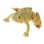 Loading Image 6 of 6
