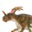 Safari Ltd Styracosaurus Carousel 6