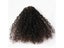 Mongolian Kinky Curly Clip Ins Human Hair Natural Color 3B 3C Clip In Human Carousel 4