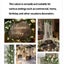 2M White Artificial Flowers Vine Fake Rose Flower Rattan for Wedding Carousel 4