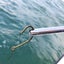 Cuda 8.5" Titanium Bonded Dehooker Carousel 6