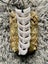 XLARGE WHALE TAIL BONE PENDANT Carousel 6