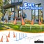 Dog Agility Training Equipment Carousel 2