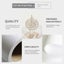 Beige Moroccan Painting Wall Art Modern Fashion Poster and Print for Carousel 5