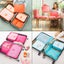 6 pieces Set Travel Organizer Storage Bags Suitcase Packing Carousel 5