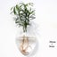 Wall Hanging Glass Flower Vase Terrarium Wall Fish Tank Aquar Carousel 6