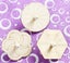 6pcs/set White Wood Gyro Toy for Children DIY Handmade Painted Toy Carousel 3