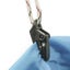 10PCS Tent pull point Clip Outdoor camping tent alligator clip pull Carousel 3