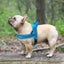 Nylon Reflective Pet Dog Harnesses Vest Soft Flannel Padded No Pull Carousel 5