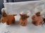 McDonald soft toy-sea animal Carousel 10