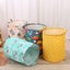 New Print Laundry Basket Portable Foldable Home Laundry Storage Bag Carousel 1