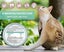 2 Pack Cat Flea Collar With 8 Months, Flea Collar For Cats Easy To Repels Fleas Carousel 2