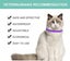 2 Pack Cat Flea Collar With 8 Months, Flea Collar For Cats Easy To Repels Fleas Carousel 4